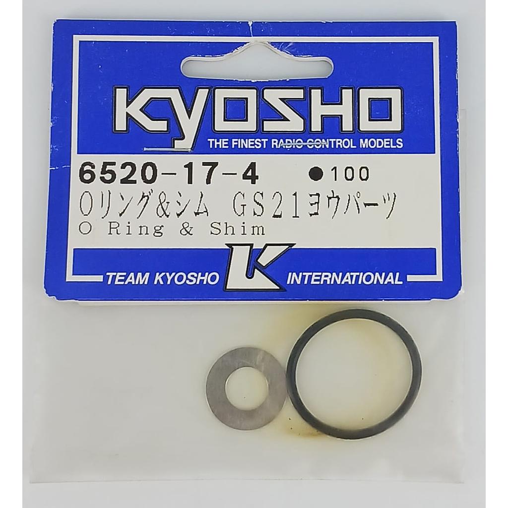 O ring e rondella motore GS21