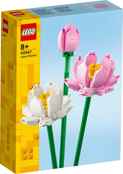 Fiori di loto
