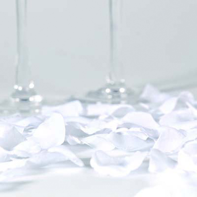 144 Petali di rosa bianchi