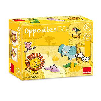 Puzzle degli opposti