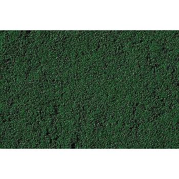 ciuffi verde foresta