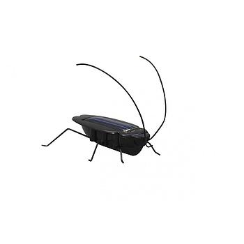 Solar Scarafaggio