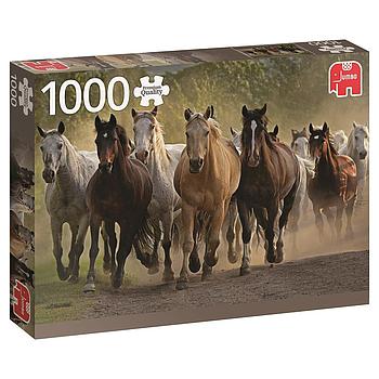 gruppo di cavalli 1000pz
