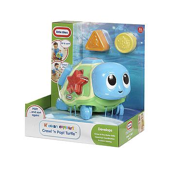 Gioco delle forme Tartaruga