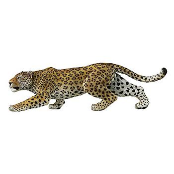 leopardo 