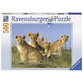 Cuccioli di leone 500 pezzi