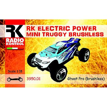 Ghost Pro auto 1/18 brushless truggy