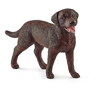 labrador retriever femmina