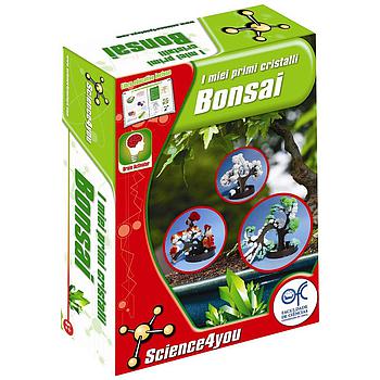 I miei primi cristalli: Bonsai