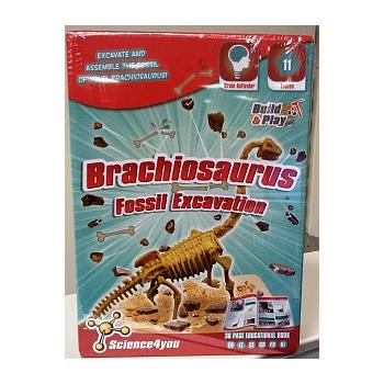 brachiosaurus da scavare