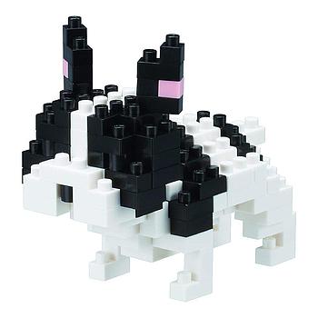 Buldog francese
