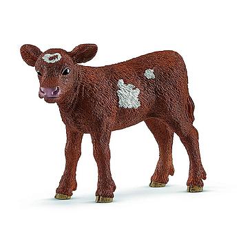 Vitello Texas Longhorn