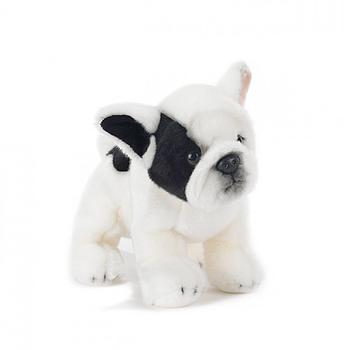 Francky Bulldog francese
