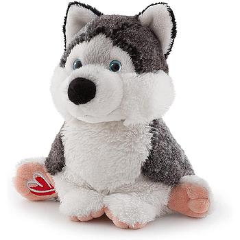Husky bussi