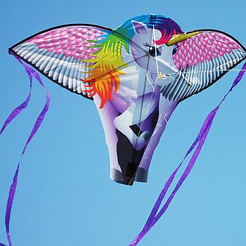 aquilone Fantasy Unicorno 94x106