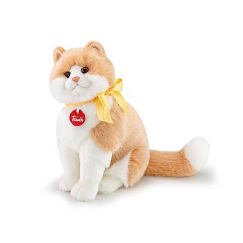 Gatto Charlie M