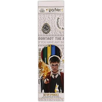 Set 6 matite di Harry potter