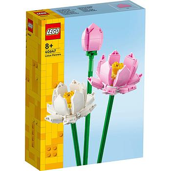 Fiori di loto